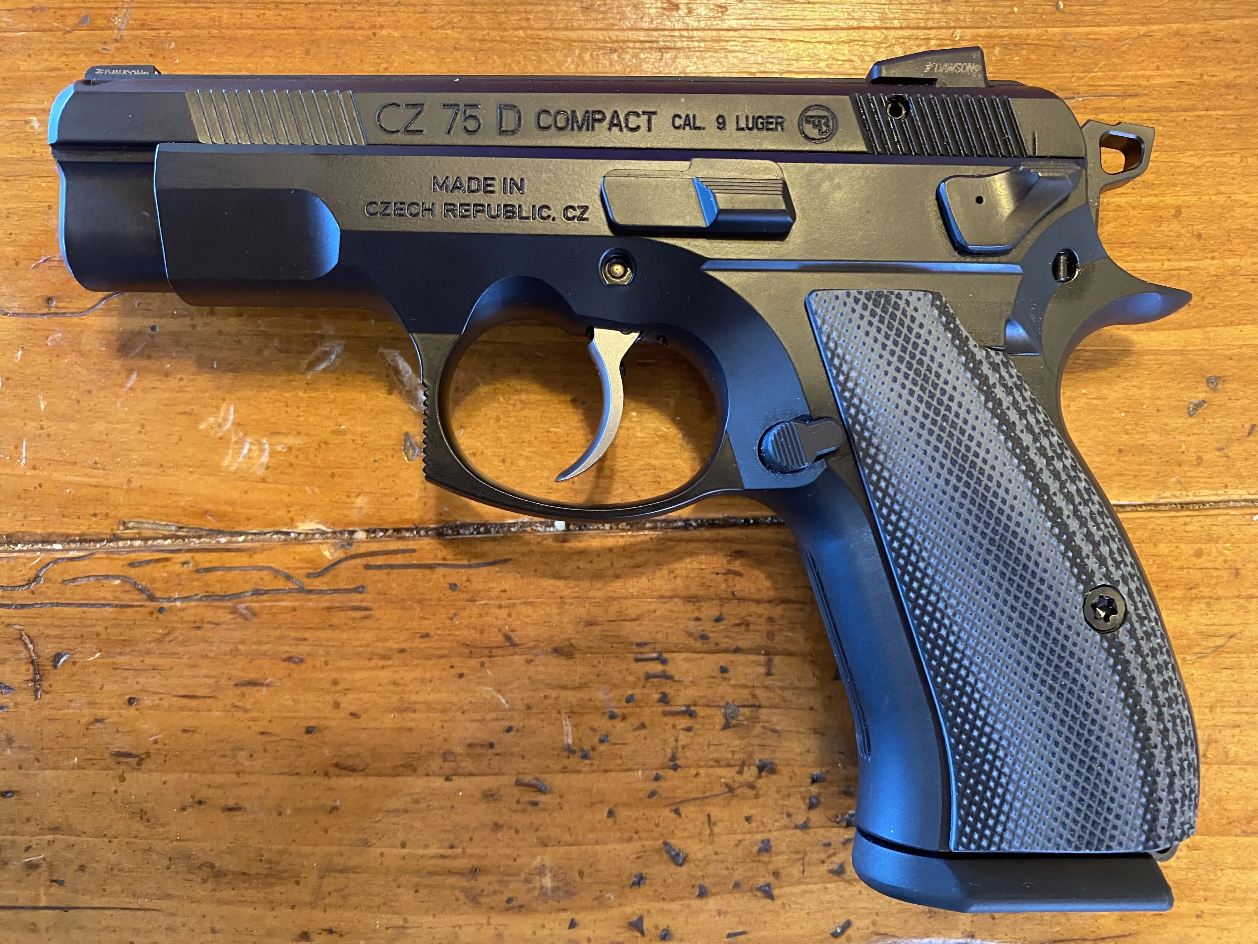 CZ PCR.webp