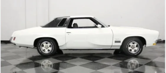 Image 12-5-25 at 6.07 PM.webp