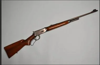 model 64.webp