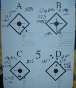 .223 target2.webp