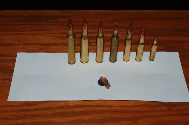 .338 lapua.webp
