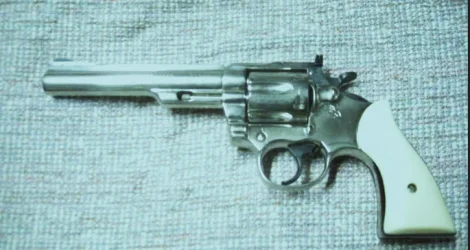 colt trooper2.webp