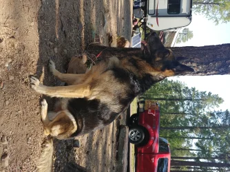 20200819_095942.webp
